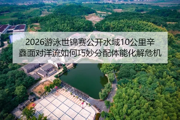 you-yong-shi-jin-sai-gong-kai-shui-yu-gong-li-xin-xin-mian-dui-yang-liu-ru-he-qiao-miao-fen-pei-ti-neng-hua-jie-wei-ji-2-586.jpg